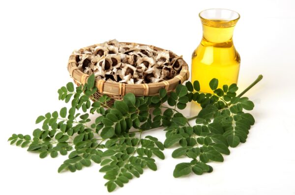 Ou trouver de l'huile de Moringa pressée à froid au Benin