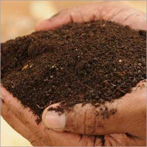 Tourteau de neem pour l'agriculture durable