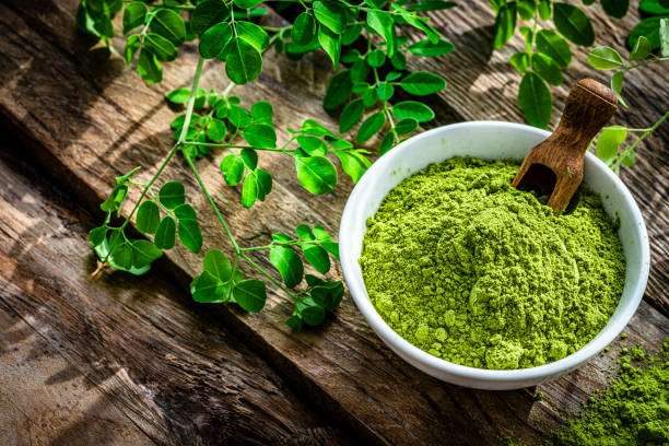 Poudre de moringa naturelle de Tchaou Group Manufacture